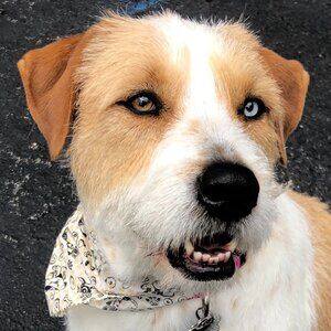 Meet your Posher, Teresa